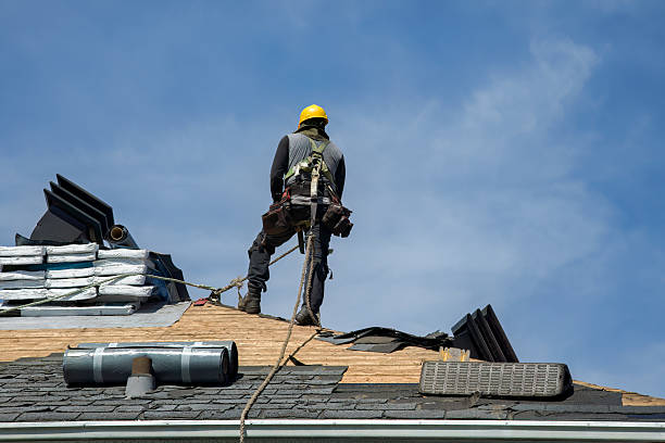 Professional Roof Replacement technician working in Sardis, GA